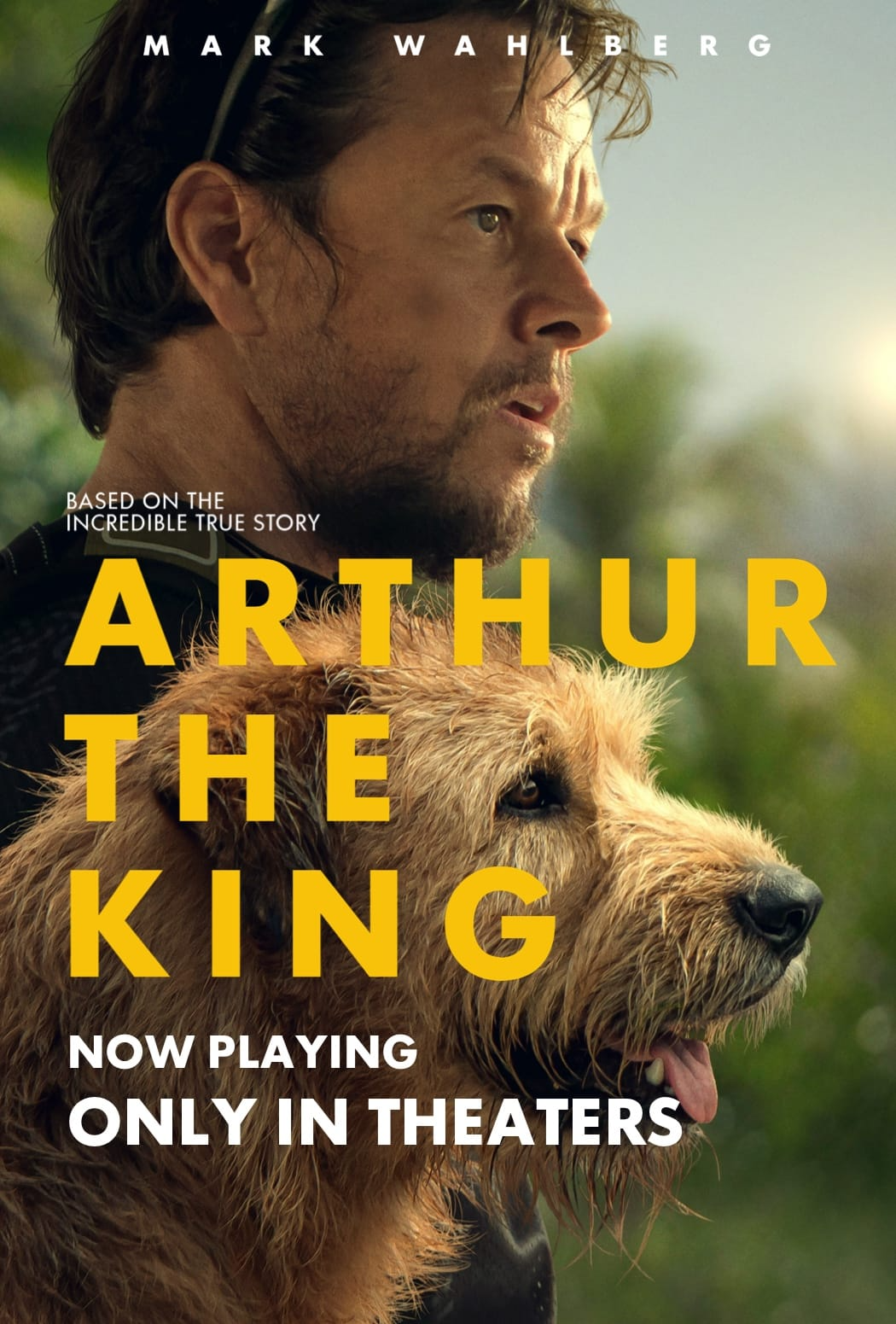 ARTHUR THE KING 😊 - Spoiler Free Reviews